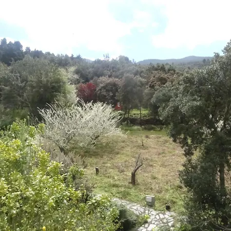 Finca La Gustoza Casa Grande Para 5 Personas El Sauzal