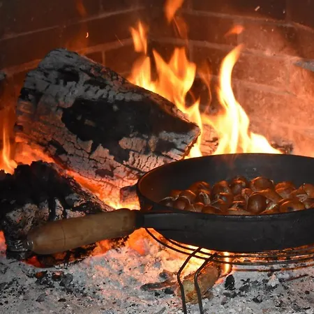 Hébergement de vacances Finca La Gustoza Casa Grande Para 5 Personas *