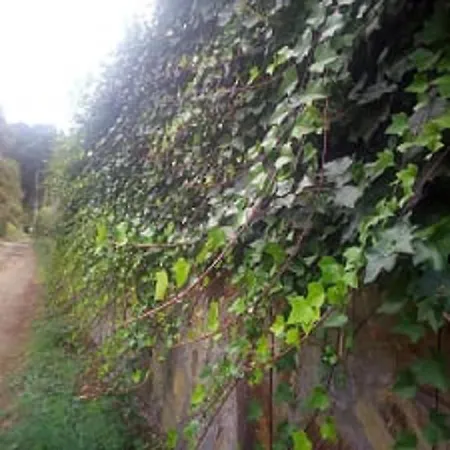 Finca La Gustoza Casa Grande Para 5 Personas Hébergement de vacances El Sauzal