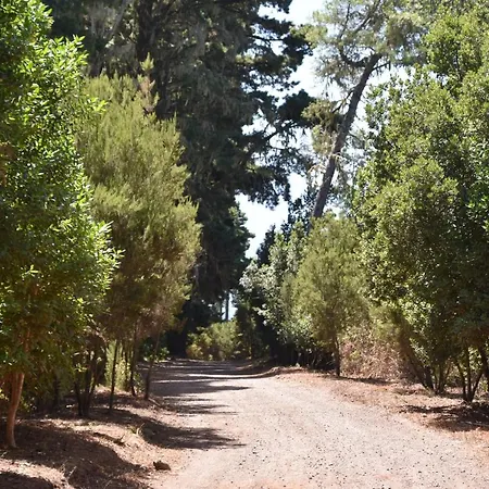 Ferienhaus Finca La Gustoza Casa Grande Para 5 Personas El Sauzal